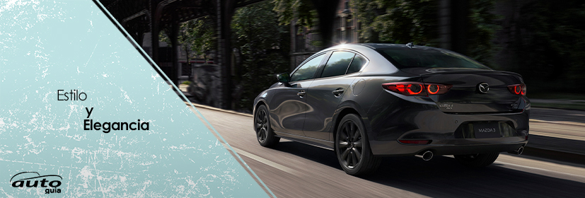 segmentos vehiculares