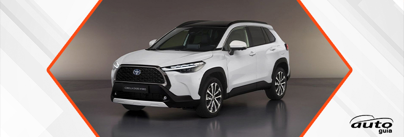 segmentos vehiculares