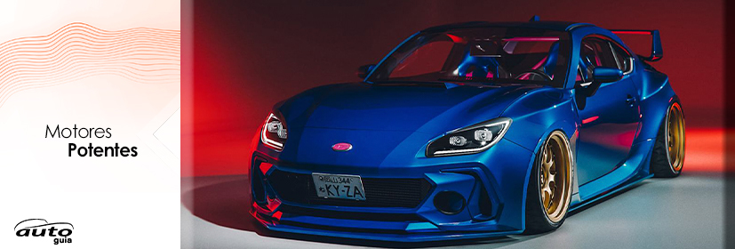 segmentos vehiculares